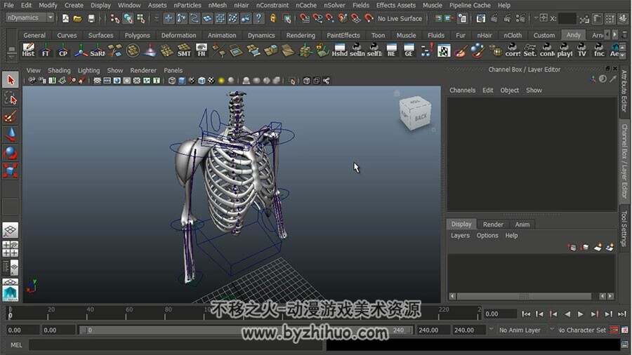 maya肌肉骨骼雕刻视频教程 大师级解剖实例教学 附源文件