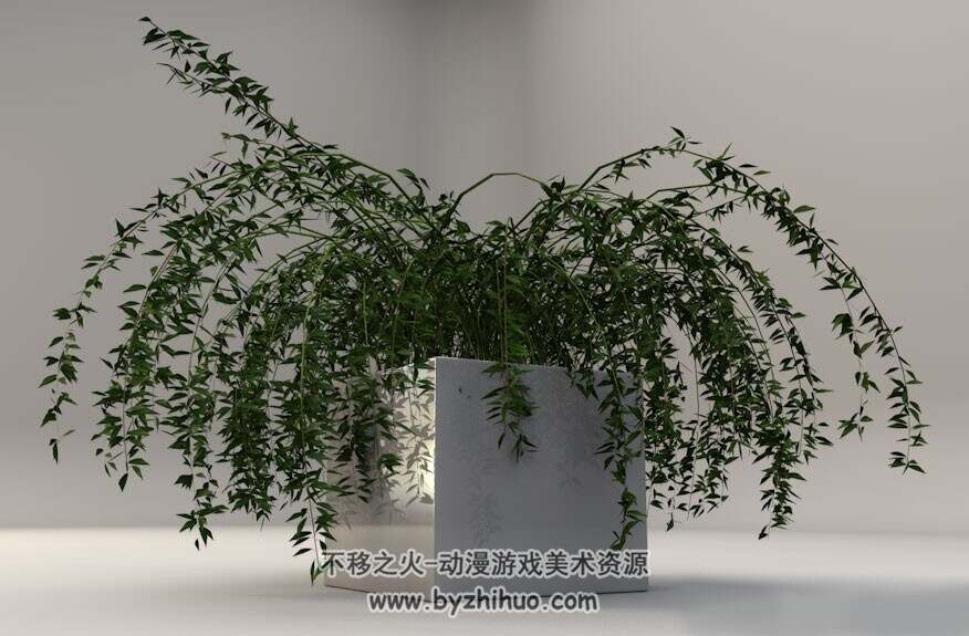 Bonsai plants C4D3D盆景植物模型下载
