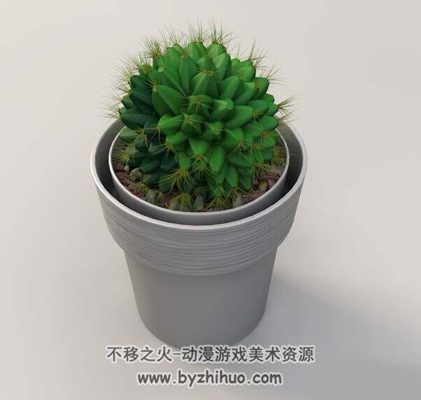 Cactus C4D仙人球盆景植物3D模型分享下载