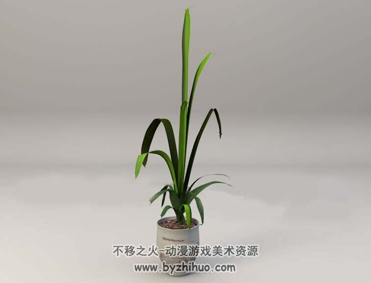 Bonsai plants 办公室景观盆景植物C4D模型