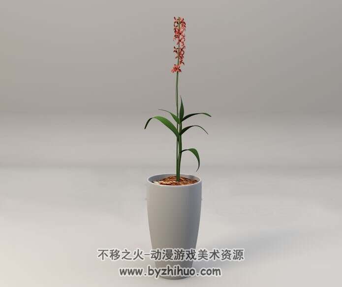C4D红色小花景观花卉盆景3D模型下载