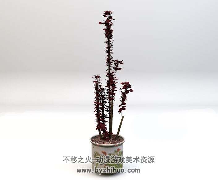 室内景观盆景红色叶子植物3D模型c4d格式下载
