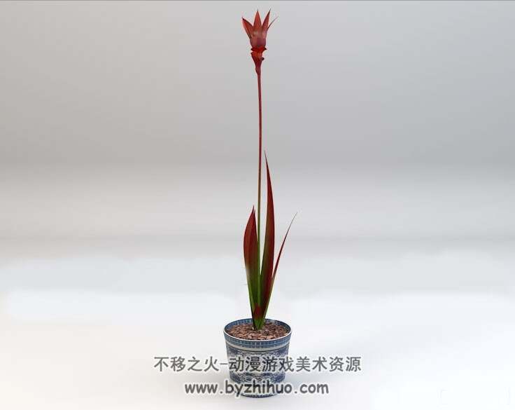 Bonsai flowers 盆景花卉3D模型C4D格式下载