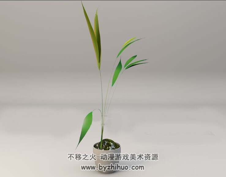Bamboo 竹子室内盆景3D模型C4D格式分享下载