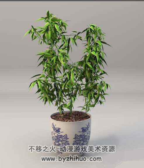 Bamboo C4D竹子盆景3D模型分享下载