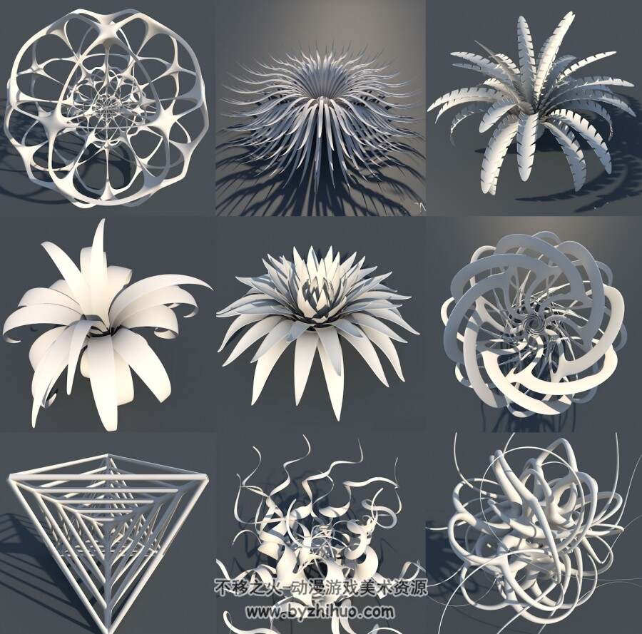 C4D创意3d模型合集 花朵植物等形状分享下载