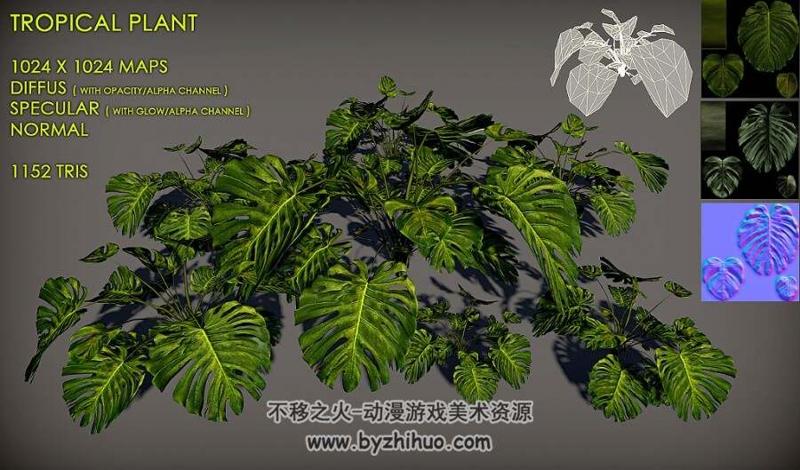 龟背竹南方大叶植物热带植物3D模型 obj fbx格式下载