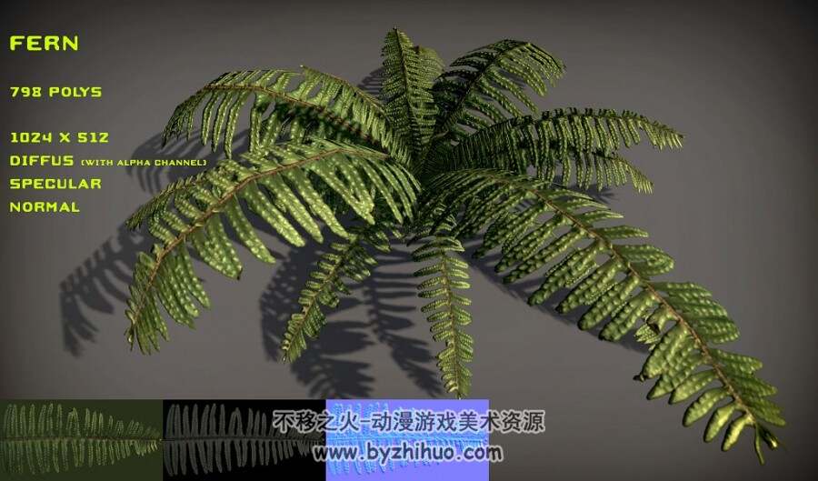 Fern Pack 蕨类植物3D模型fbx obj格式分享下载