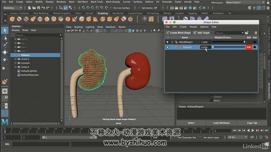 Maya医学动画视频教程 了解基本原理和技术 附与文件