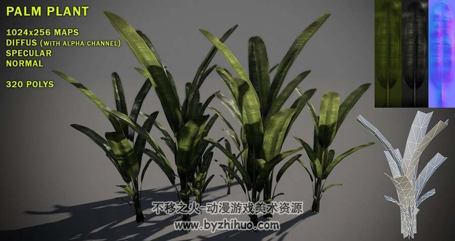 Palm Plant Pack 香蕉树苗3D模型fbx obj格式分享