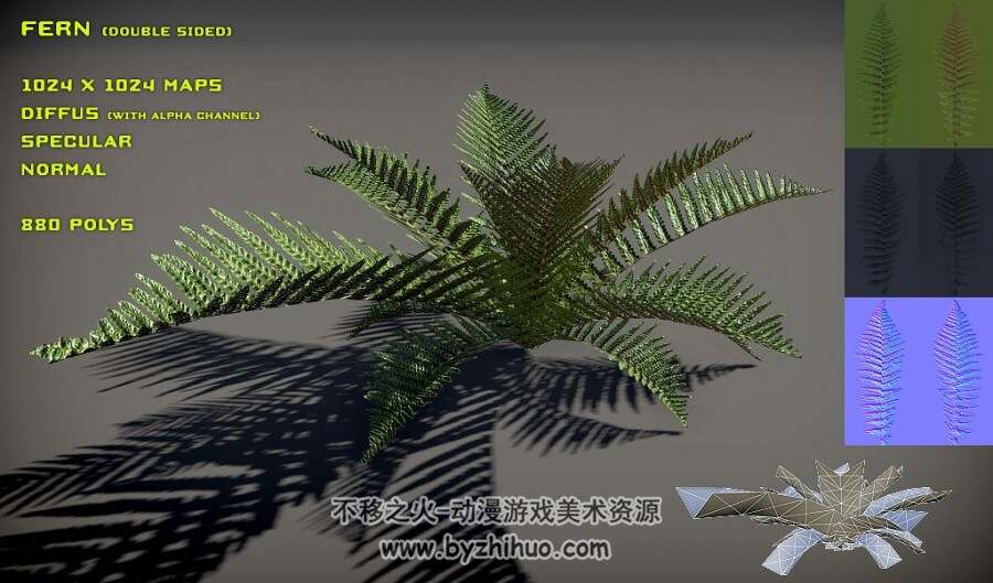 Fern Pack 南方植物3D模型fbx obj分享下载