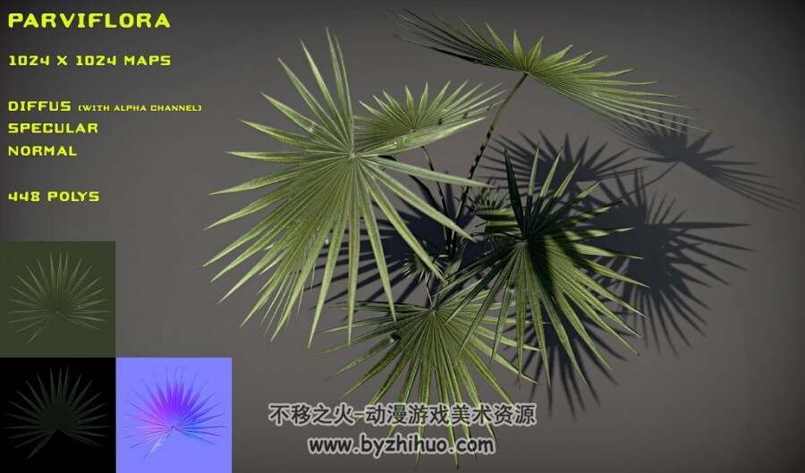 Parviflora pack 蒲葵植物3D模型fbx obj格式下载