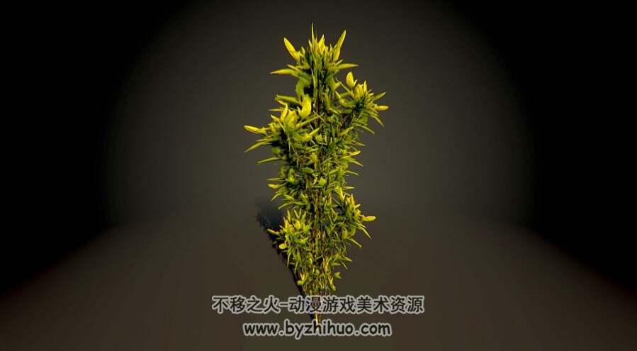 Tiny Weeds 植物3D模型合集 fbx obj格式分享下载