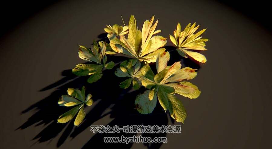 Tiny Weeds 植物3D模型合集 fbx obj格式分享下载