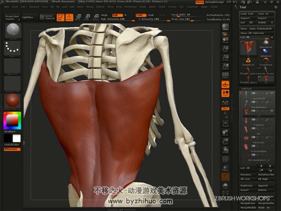 ZBrush解剖学视频教程 人与动物肌肉骨骼结构雕刻教学 附源文件