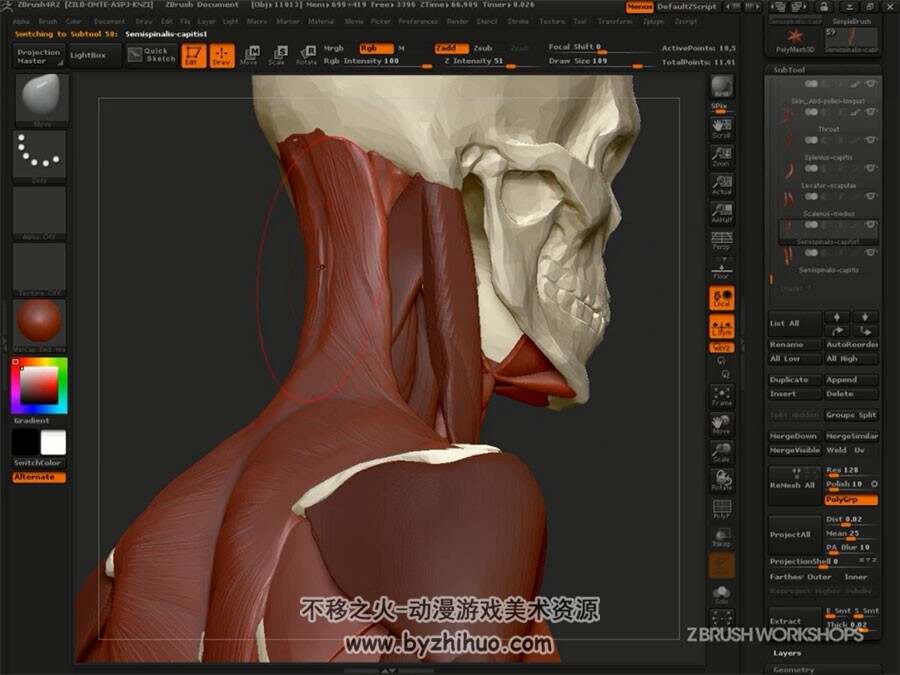 ZBrush解剖学视频教程 人与动物肌肉骨骼结构雕刻教学 附源文件