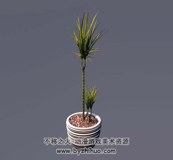 C4D室内盆景植物3D模型分享下载
