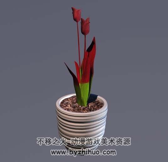 Tulip 绿植盆栽郁金香3D模型C4D格式下载