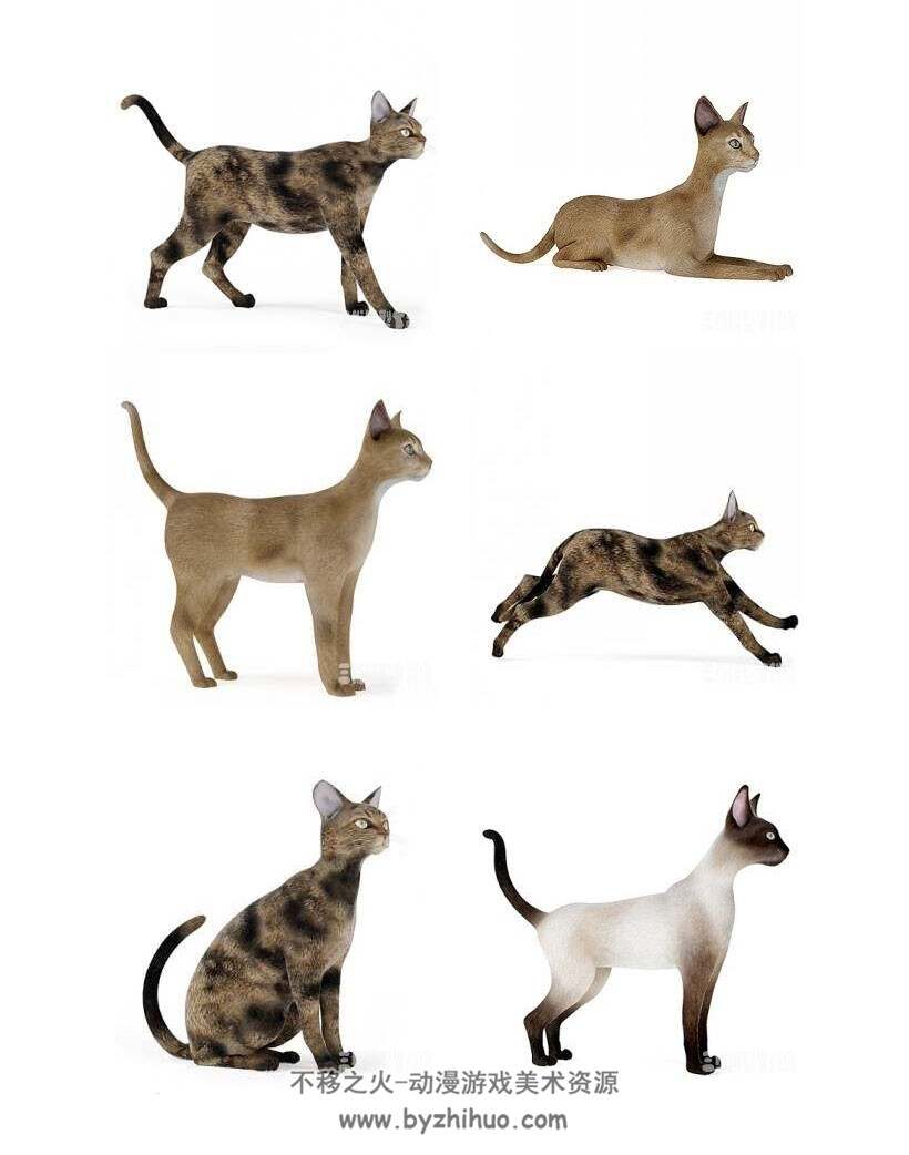 Cats 写实猫3D模型合集下载