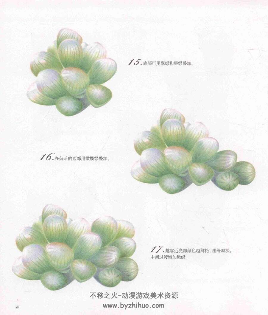 肉肉绘 色铅笔下的34棵多肉植物绘画教程 植物花草手绘教学 PDF下载