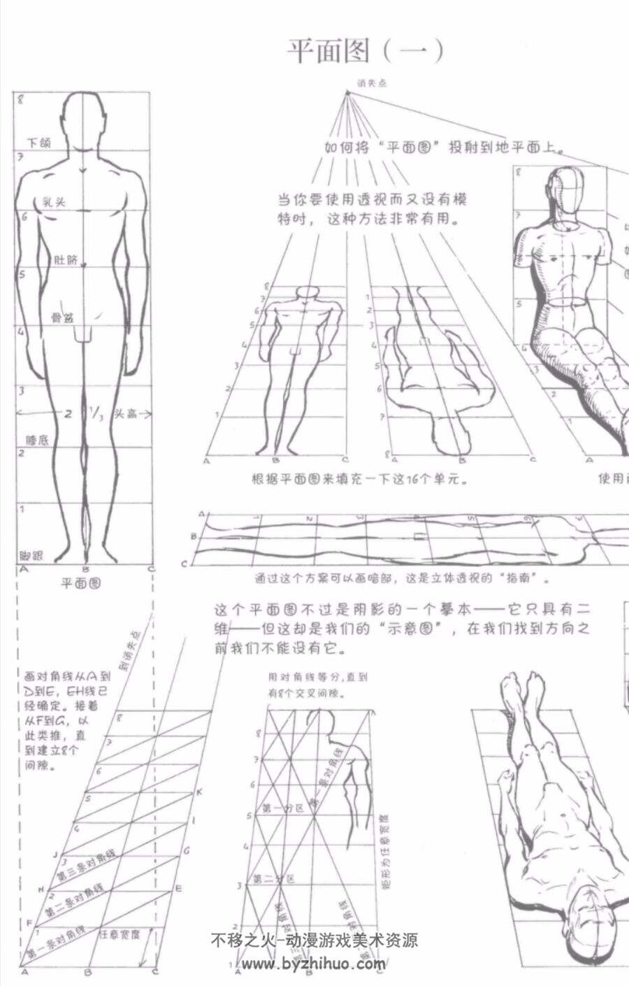 路米斯经典美术课-人体素描