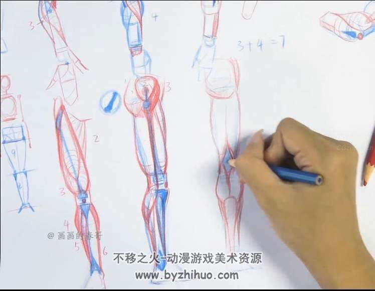 非常棒的87个手绘人体结构视频教程