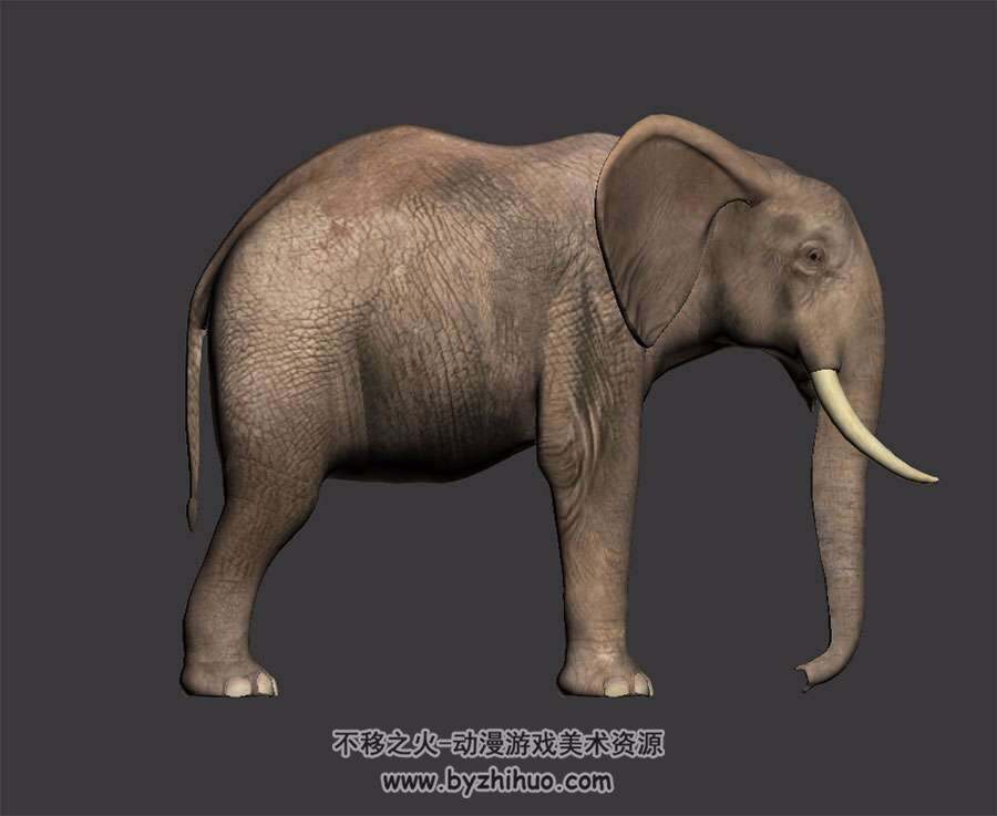 逼真写实风大象 3D模型 带绑定