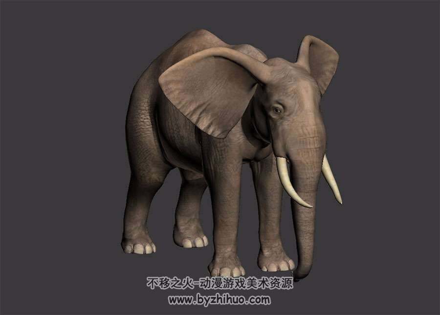 逼真写实风大象 3D模型 带绑定