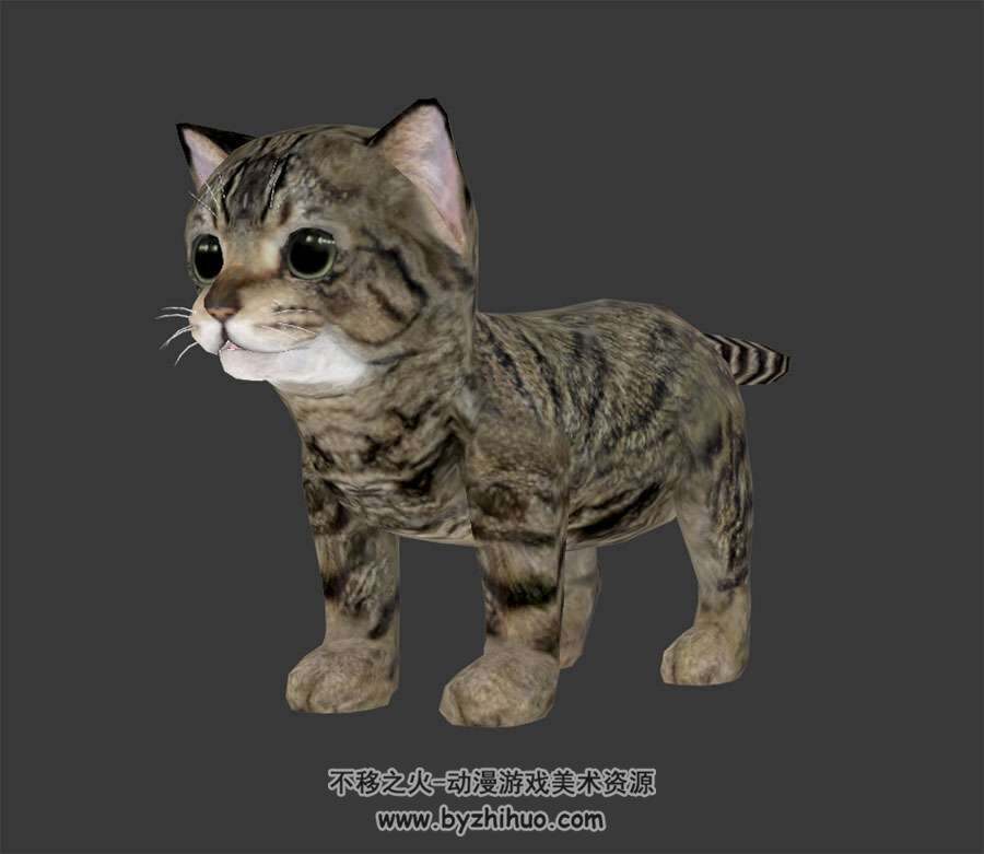 小猫咪合集3D模型下载 FBX格式含贴图