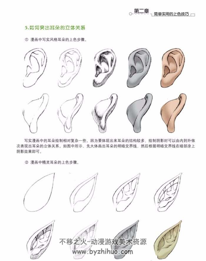 各种耳朵 人类动物 绘画素材参考资料下载 148P