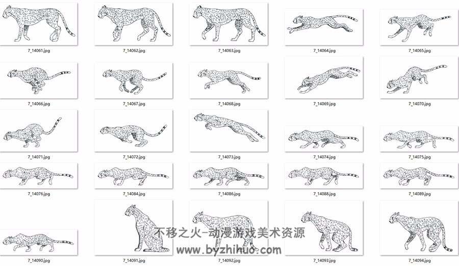 各种动物运动规律合集 写实卡通风格直观参考图片素材教程