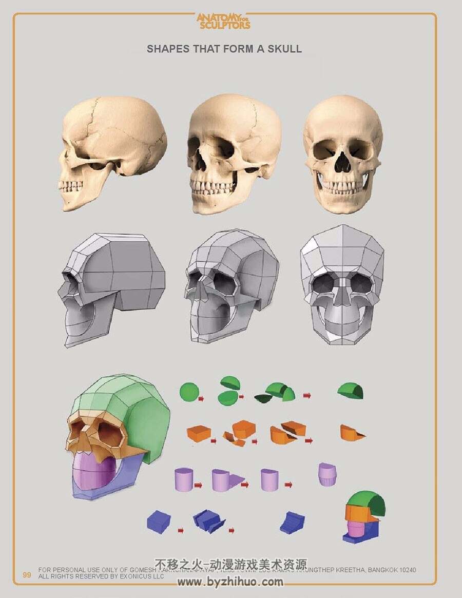 人体结构 身体各部位骨骼肌肉资料参考素材 57P