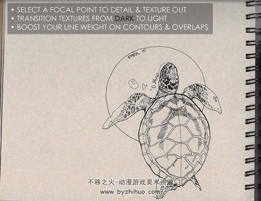 动物绘画技巧 外国铅笔手绘视频教程百度网盘下载