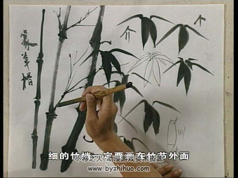 詹仁左 小写意竹子画法 中国传统国画视频教程