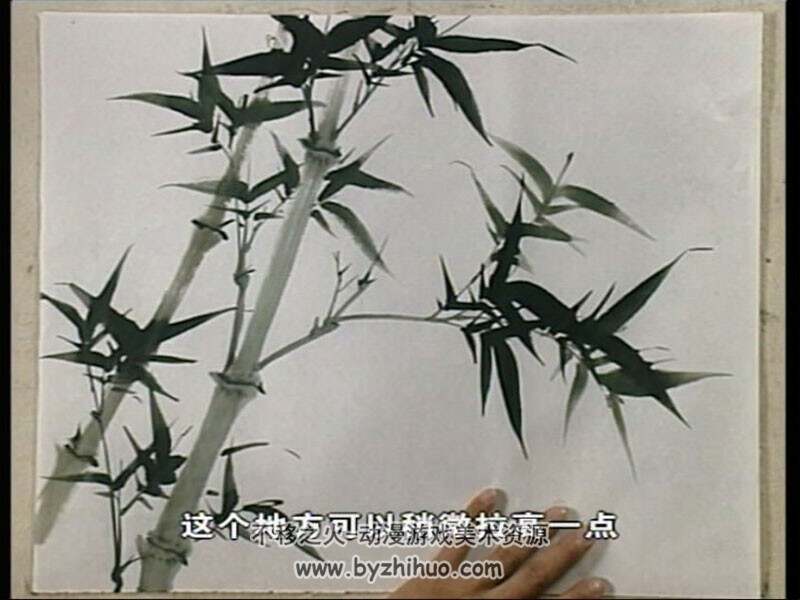 詹仁左 小写意竹子画法 中国传统国画视频教程