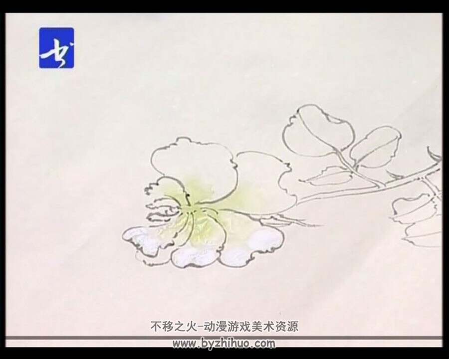 霍春阳 花鸟画临摹工笔技法 传统中国美术国画教学视频