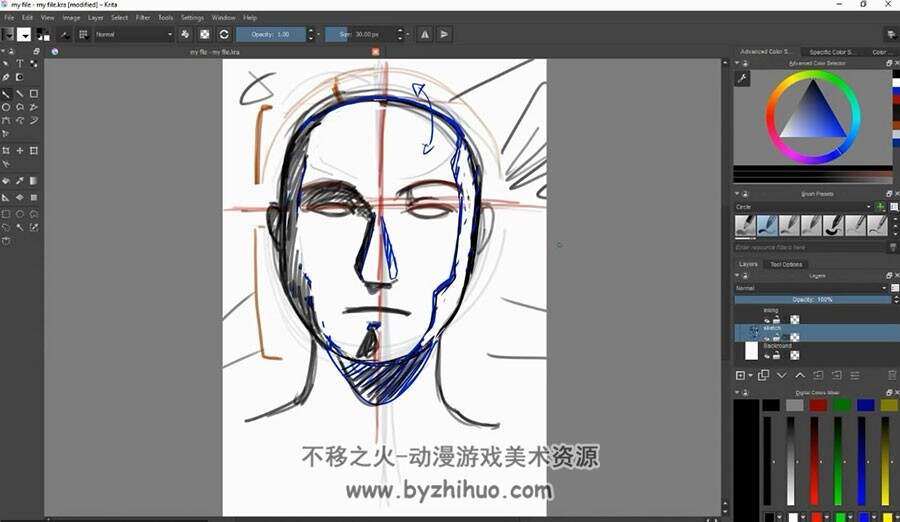 Krita 人物头部脸部 绘画教学视频教程
