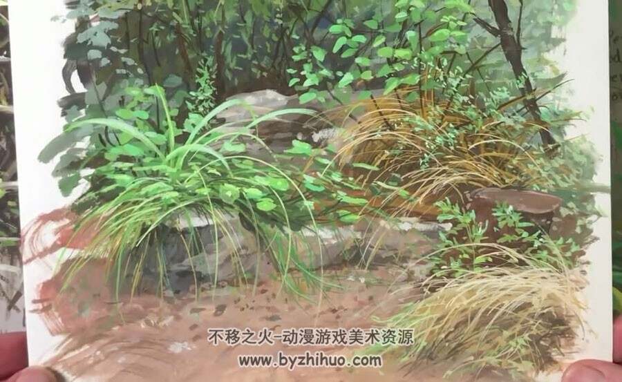 草丛石头 野外郊外场景传统手绘绘制技法视频教程