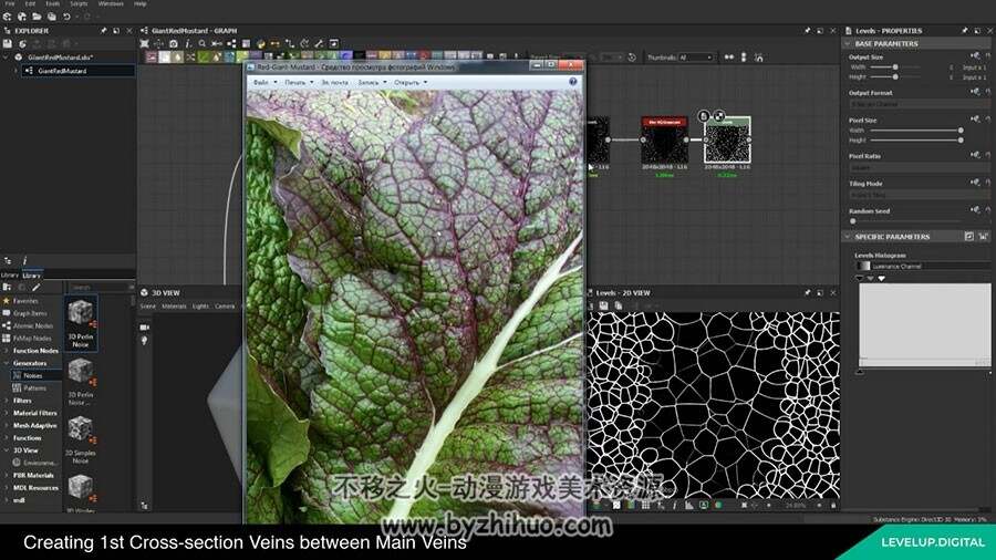 Substance Designer 树叶植物 纹理贴图制作视频教程