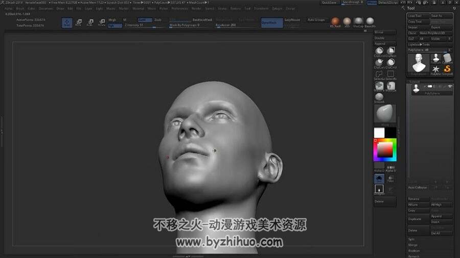 ZBrush 真实女性头部 实例制作视频教程 附源文件