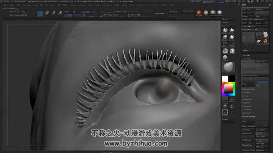 ZBrush 真实女性头部 实例制作视频教程 附源文件