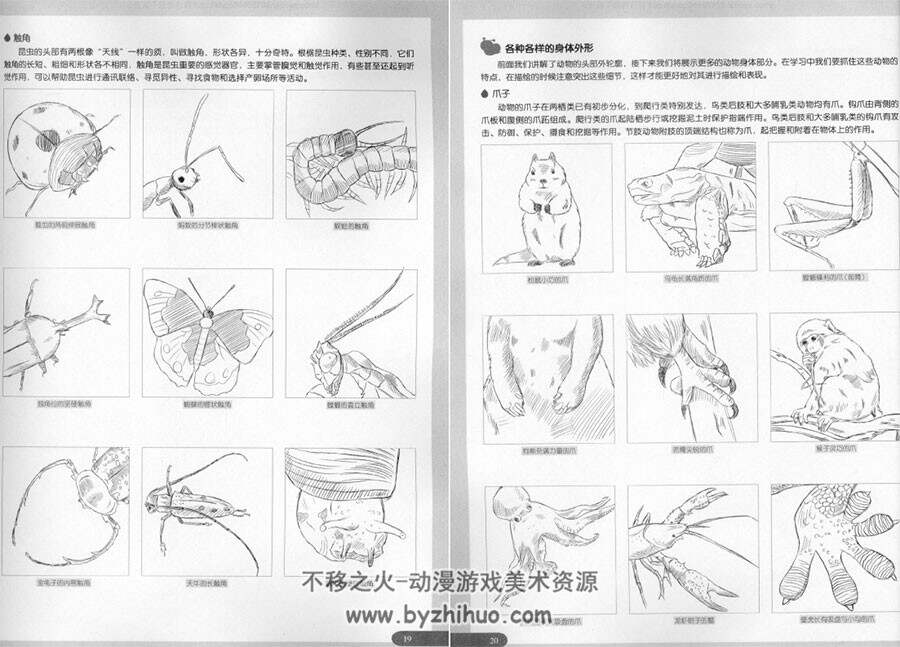 卡通动物篇 超级漫画素描技法 动物漫画角色绘制教学教程