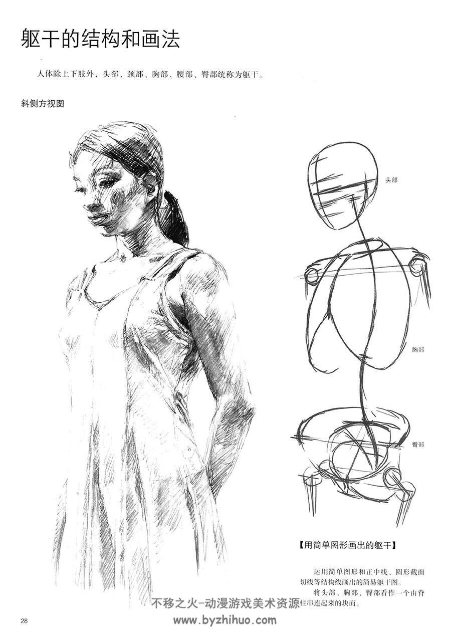 人体结构 写生应用手帖 素描速写传统手绘教学资料PDF