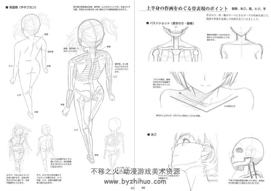 女孩子身体画法 角色骨骼和肉感的性感女孩子绘画 角色绘制教学