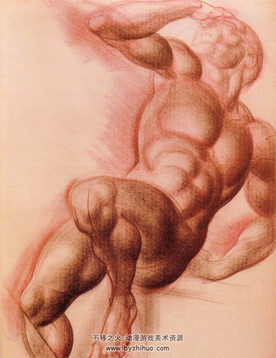 Dynamic Anatomy 动态解剖学 Burne Hogarth 人体肌肉结构绘画素描教学网盘下载