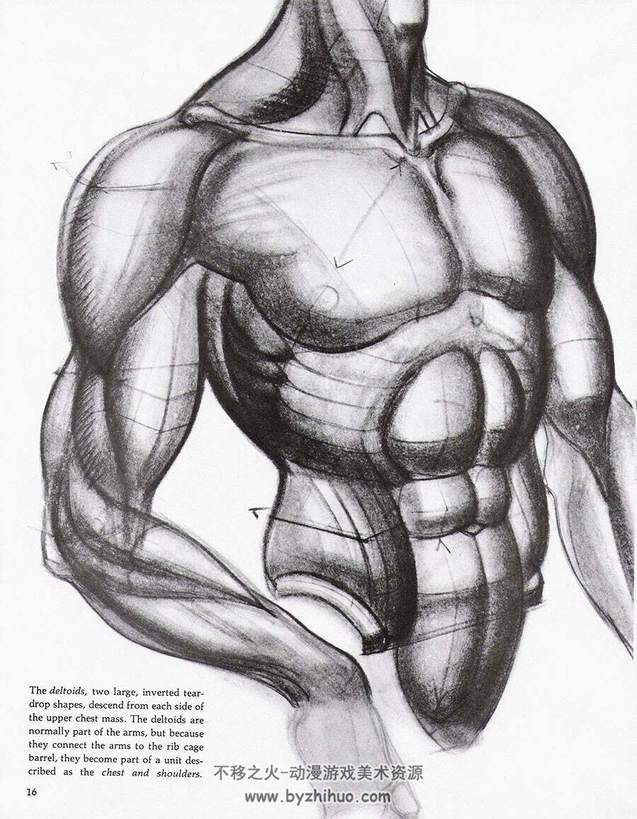 Dynamic Figure Drawing 动态绘画 Burne Hogarth 人体动作肌肉结构绘画教学网盘下载