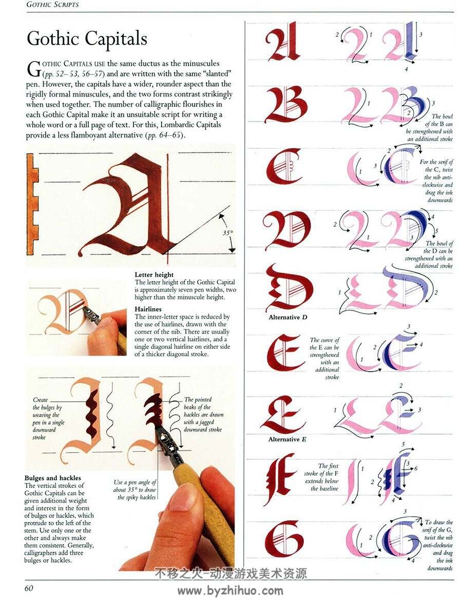 The Art of Calligraphy 书法艺术 David Harris 字母书法设计手绘素材资料参考