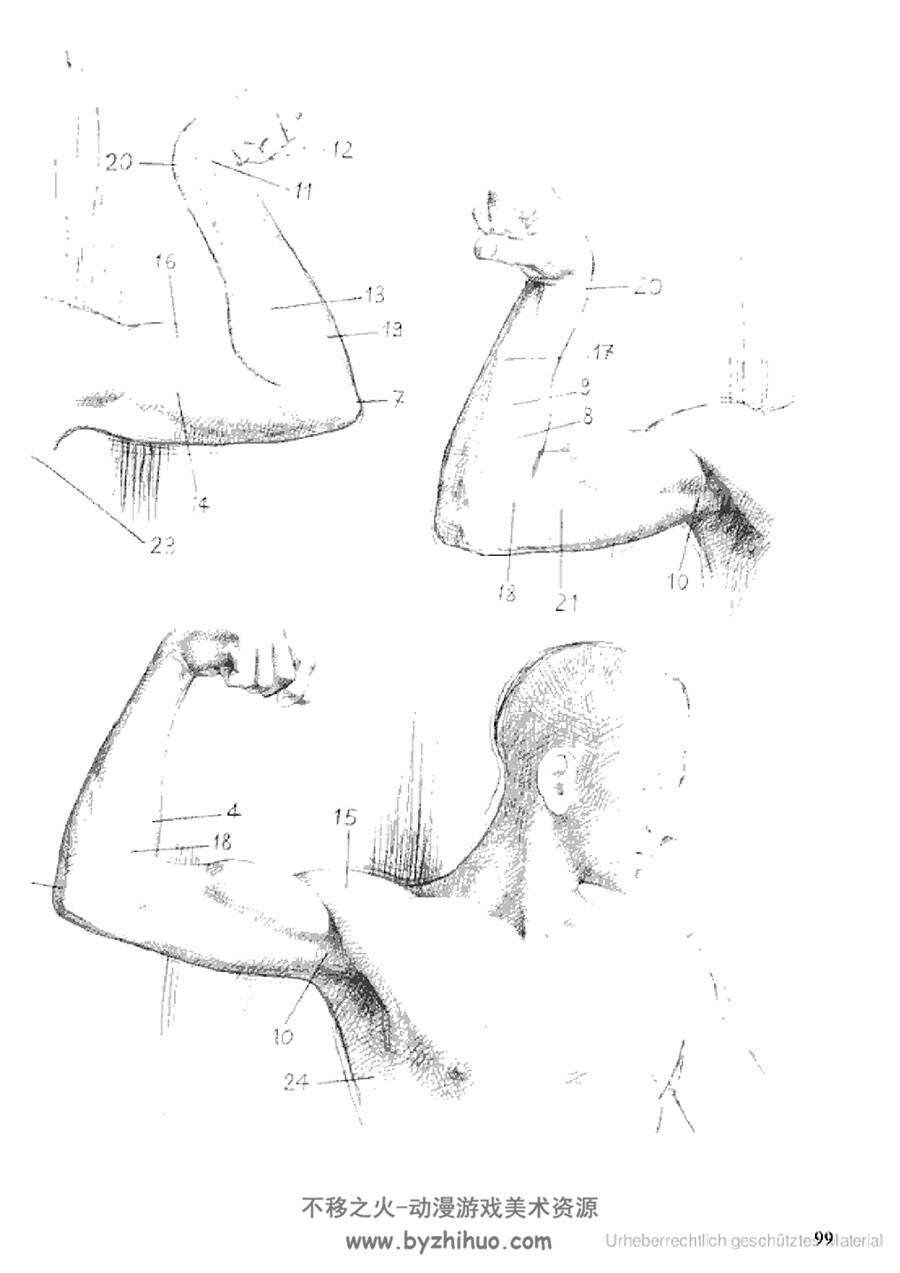 Drawing the Human Body – An Anatomical Guide 绘制人体 - 解剖学指南