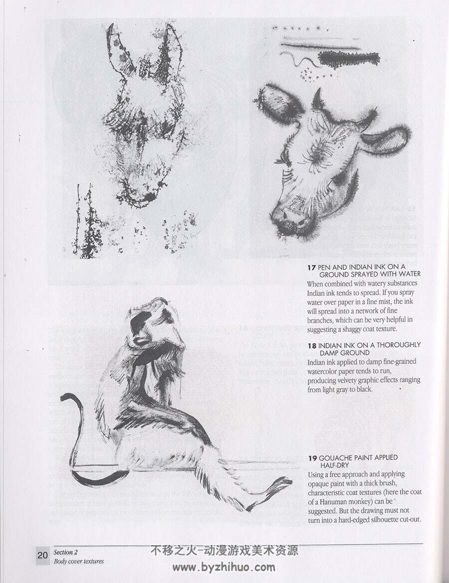 The Artist's Guide to Animal Anatomy 动物解剖学艺术家指南