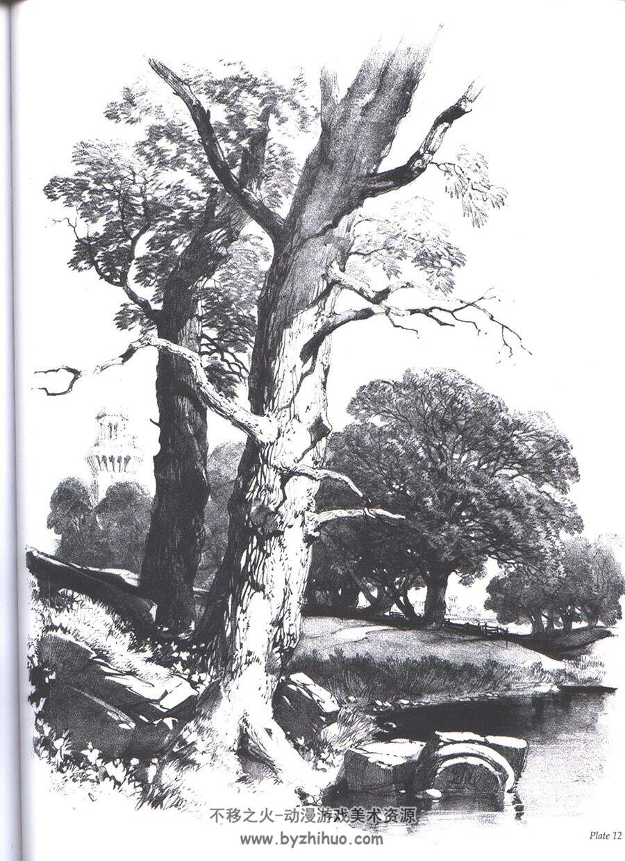 论树木与自然的绘制 维多利亚时期的经典手册 传统手绘风景场景教程